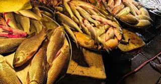 রাজধানীতে মাছের দাম বেড়েছে কেজিতে ২০-৩০ টাকা